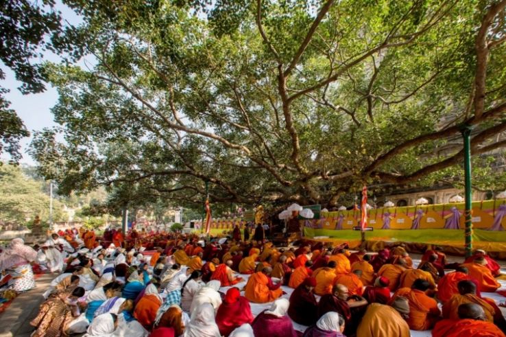 Enlightment at Bodhi Tree Trip Packages
