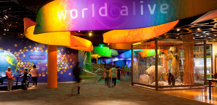  Discovery Place Trip Packages
