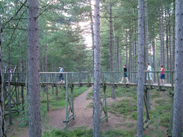 Moors Valley Country Park  Trip Packages