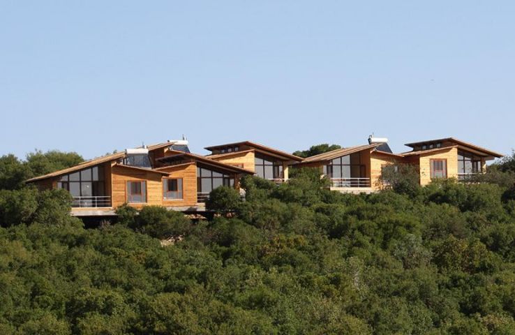 Ajloun Forest Reserve Trip Packages