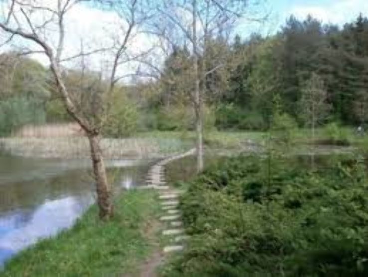 Forest Park Lipnik  Trip Packages