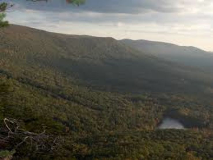 Cheaha Mountain Trip Packages