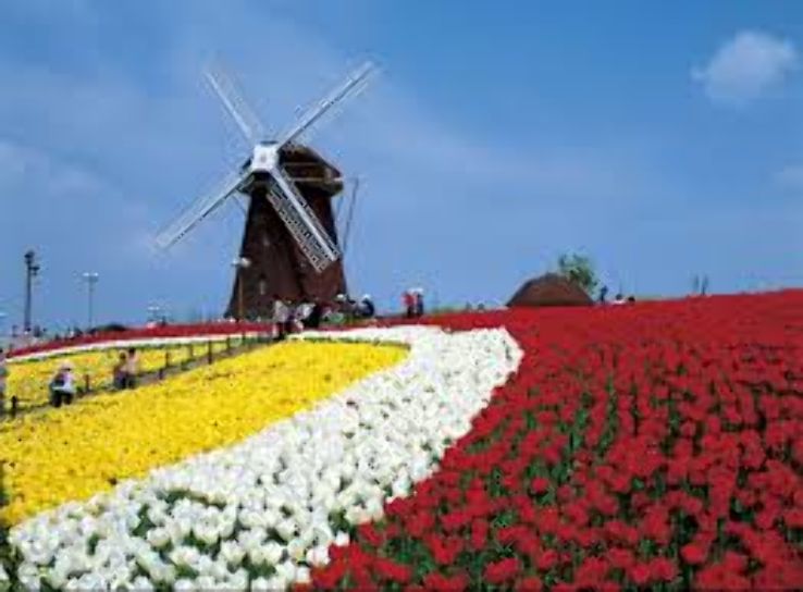 Nakagawa Kasenjiki Ryokuchi Park Trip Packages