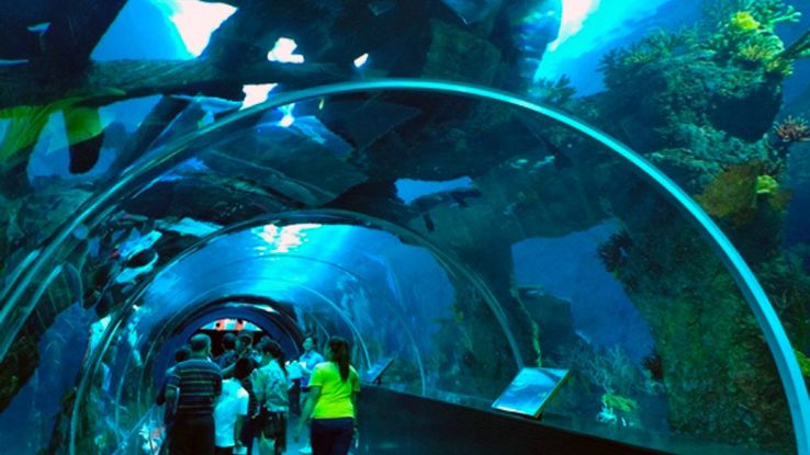 Helsinki Trip Packages