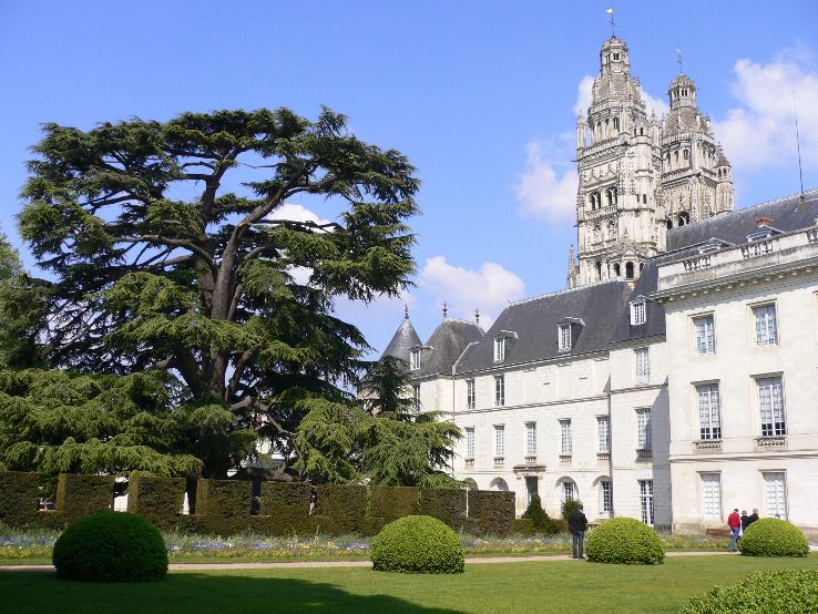 Musee des Beaux Arts de Tours Trip Packages