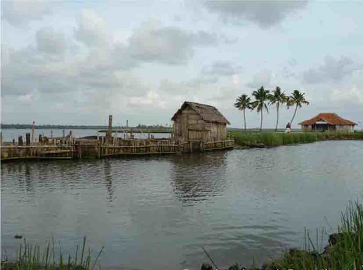 Veeranpuzha River Trip Packages Veeranpuzha River Trip Packages