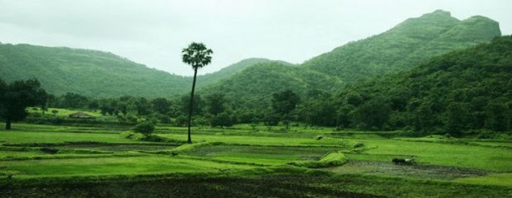 Khanvel Trip Packages