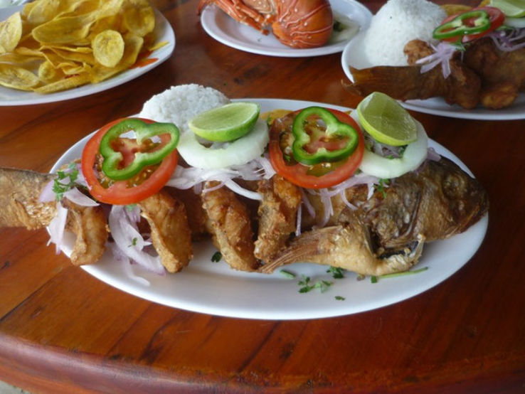 Parque del Marisco Trip Packages