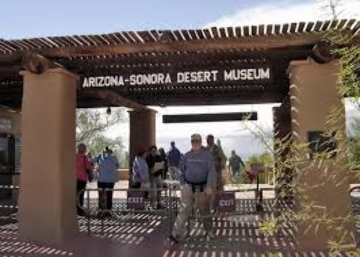 Arizona-Sonora Desert Museum Trip Packages