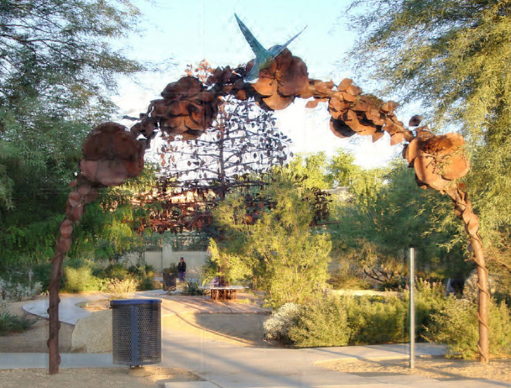 Desert Breeze Hummingbird Habitat Trip Packages