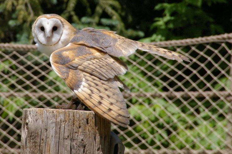 Utahs Hogle Zoo Trip Packages