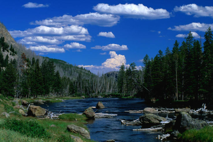 Yellowstone River Trip Packages