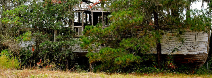 Oatland Island Wildlife Center Trip Packages