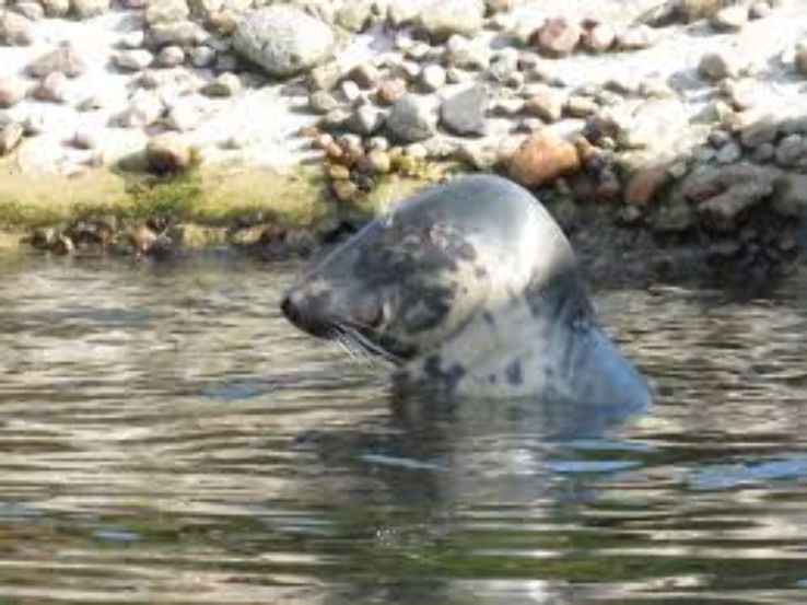 Seal of the Marine Station Trip Packages