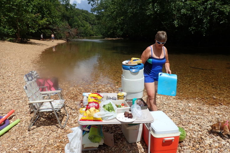 Pack a Picnic and Head to the Vineyards Trip Packages