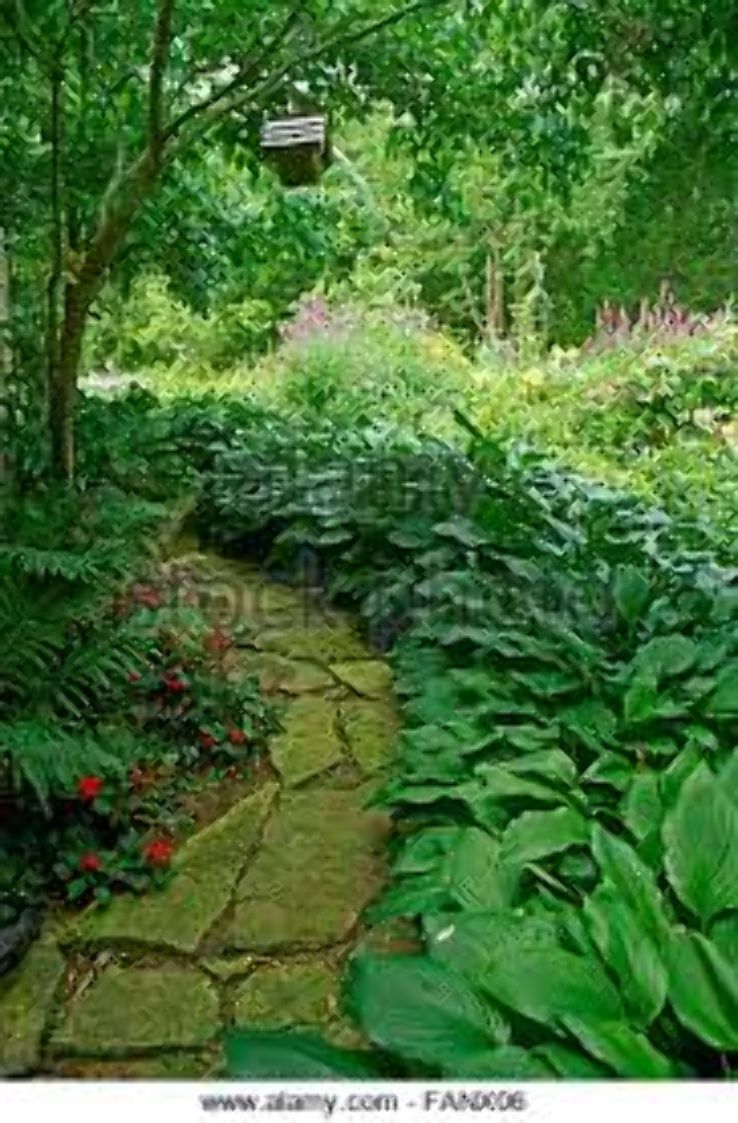 Hosta Garden Trip Packages