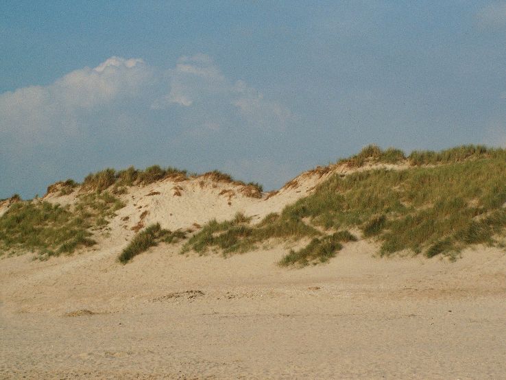 Dunenreservat Nordholland  Trip Packages