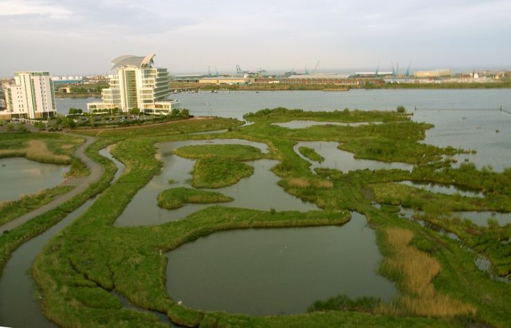 Cardiff Bay Wetlands Reserve  Trip Packages