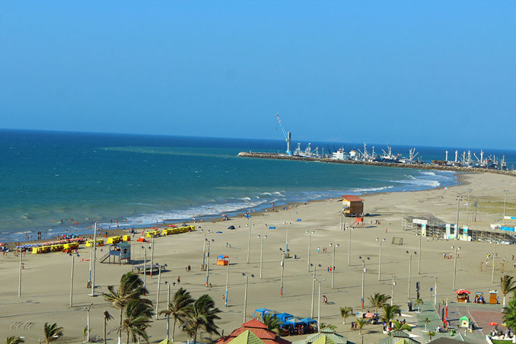 Bat Beach Trip Packages Bat Beach Trip Packages
