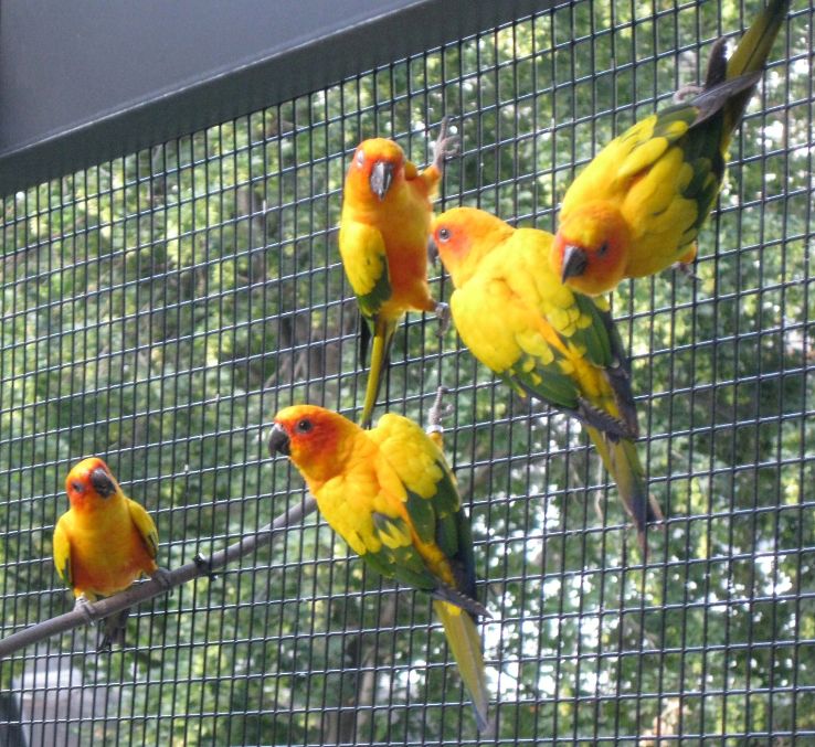Tracy Aviary Trip Packages