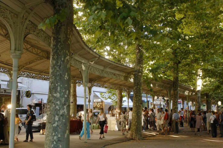 Parks on the Allier Trip Packages