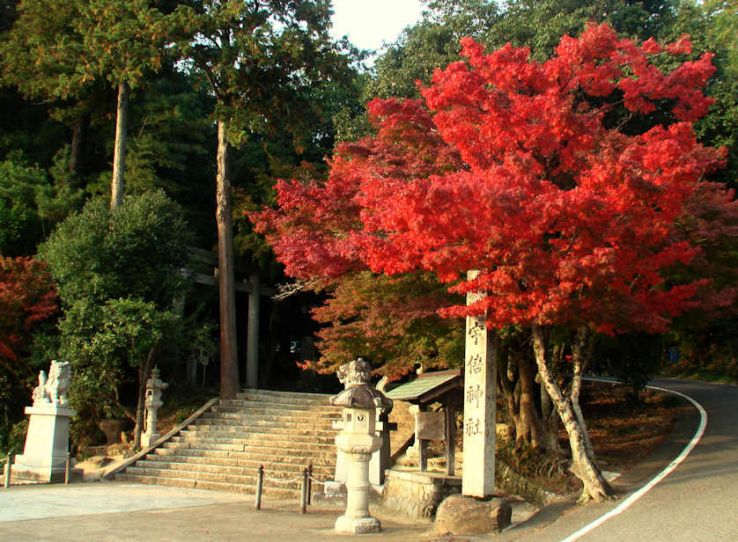 Ube Shrine Trip Packages