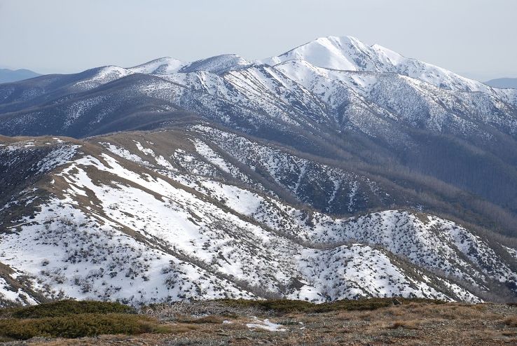 Alpine National Park Trip Packages