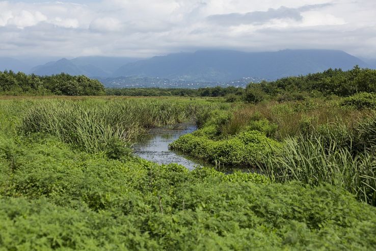 Kobuleti Strict Nature Reserve Trip Packages