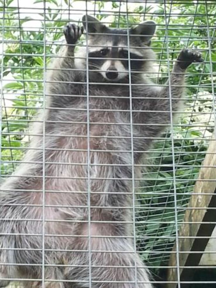 Exotic Pet Refuge  Trip Packages