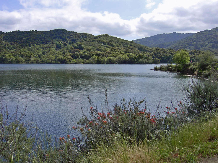 Stevens Creek  Trip Packages