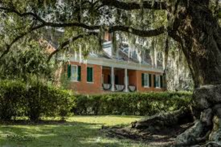 Shadows-on-the-Teche Trip Packages