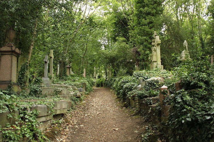 Highgate Cemetery Trip Packages