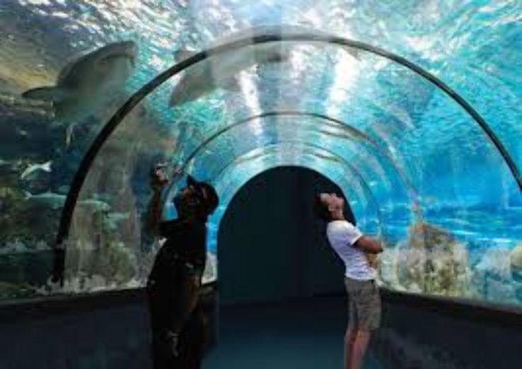 Via Aquarium Trip Packages