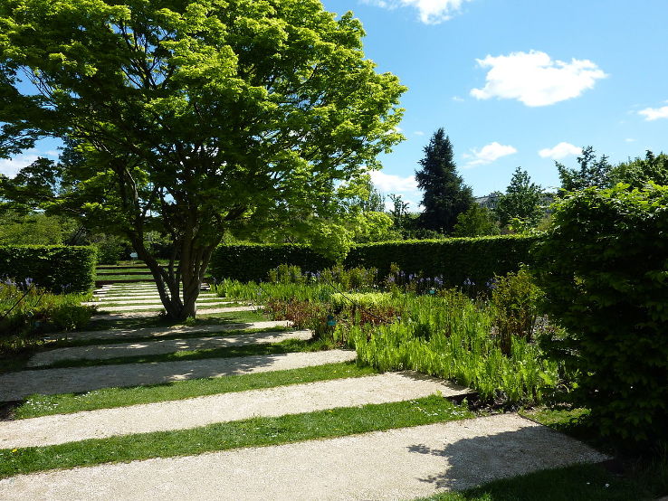 fern garden Trip Packages