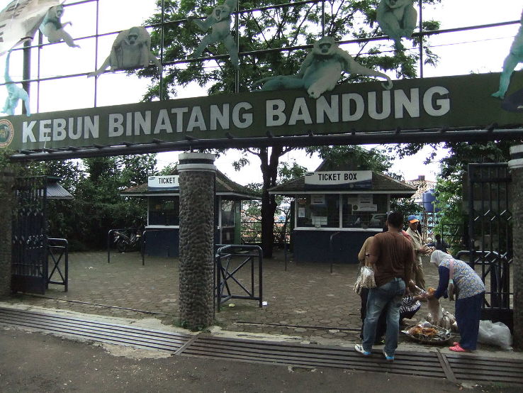 Bandung Zoo Trip Packages