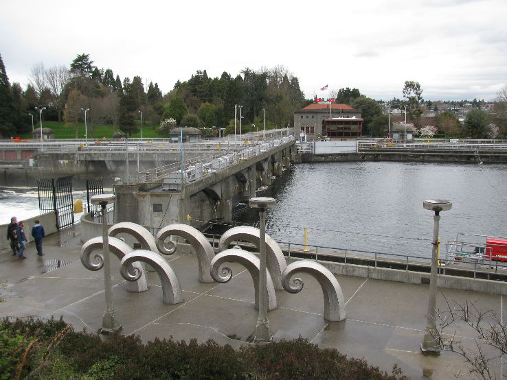 Hiram M Chittenden Locks  Trip Packages