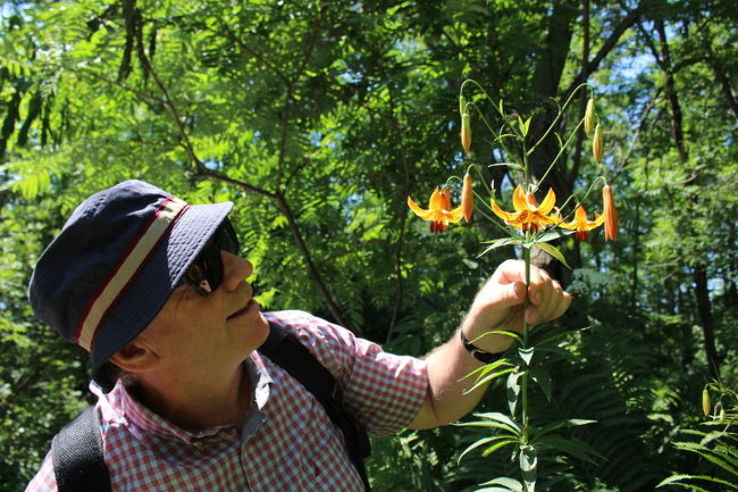 Cornwall Trip Packages