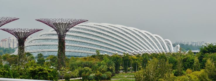 Flower Dome Trip Packages