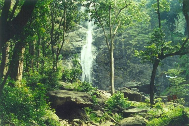 Palaruvi Waterfalls Trip Packages