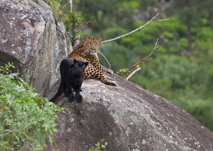 Kacheeda Valley Trip Packages