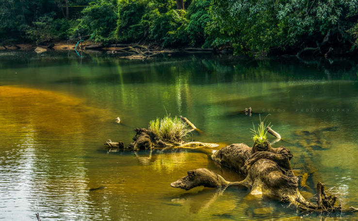 tourist places near kalakad