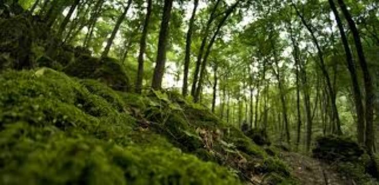  Las Wolski Trip Packages