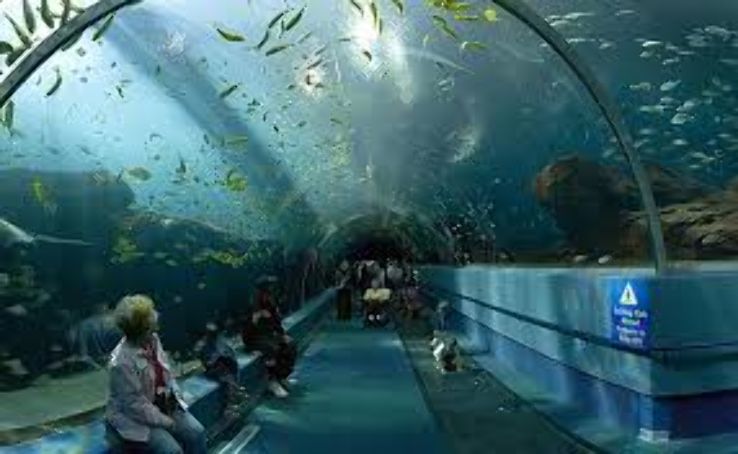  Tropical Aquarium Trip Packages