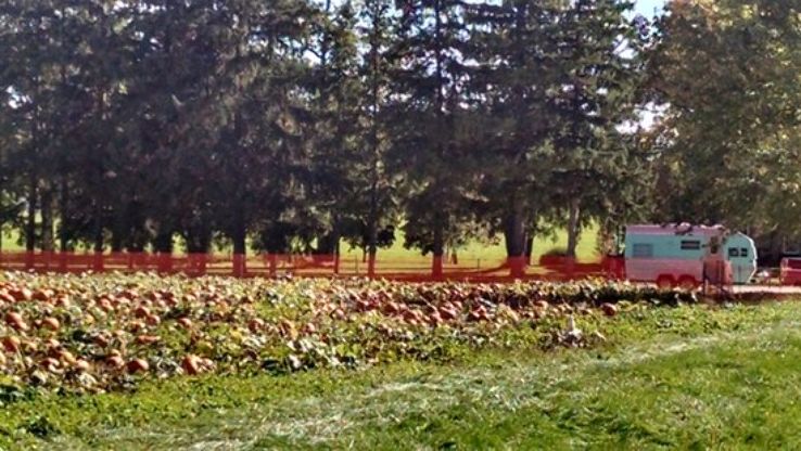 Stonehaven Farms Trip Packages