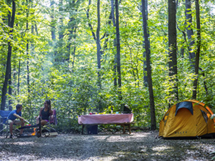 Park national dOka Trip Packages