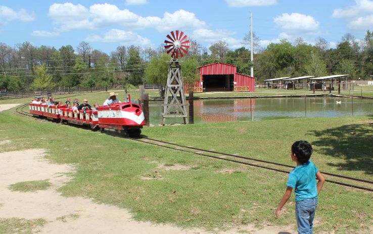 Old MacDonalds Farm Trip Packages