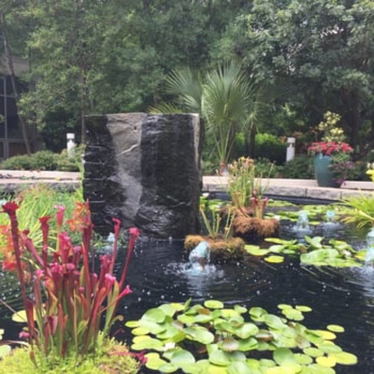 State Botanical Garden of Georgia Trip Packages