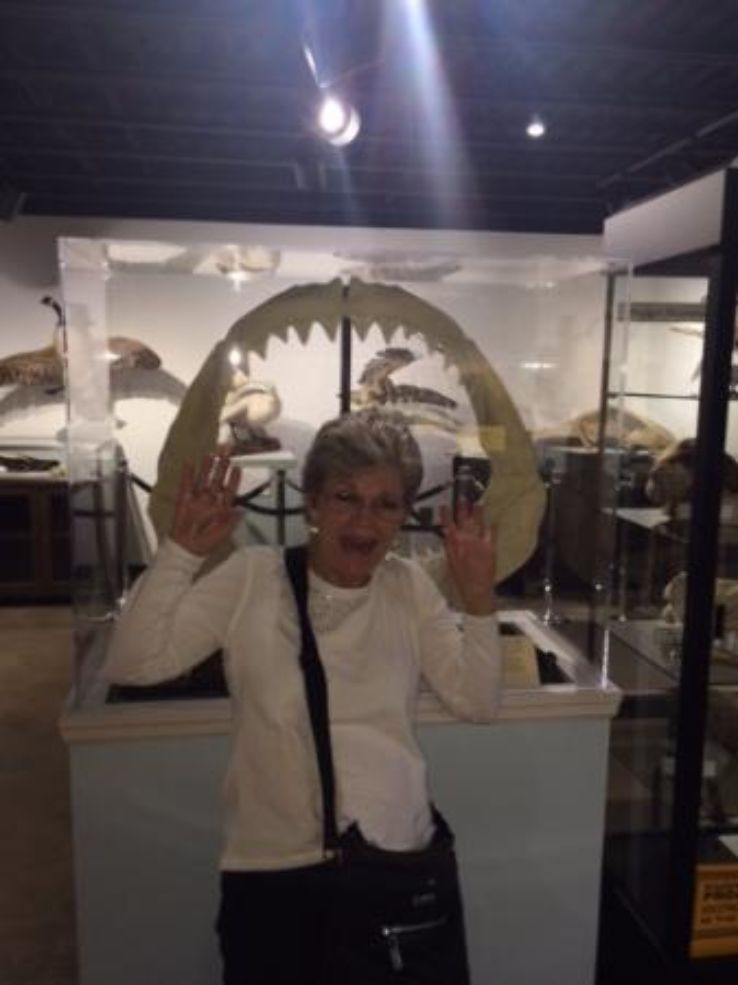 Georgia Museum of Natural History Trip Packages