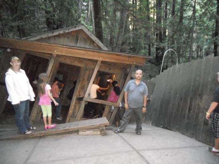 the Mystery Spot Trip Packages