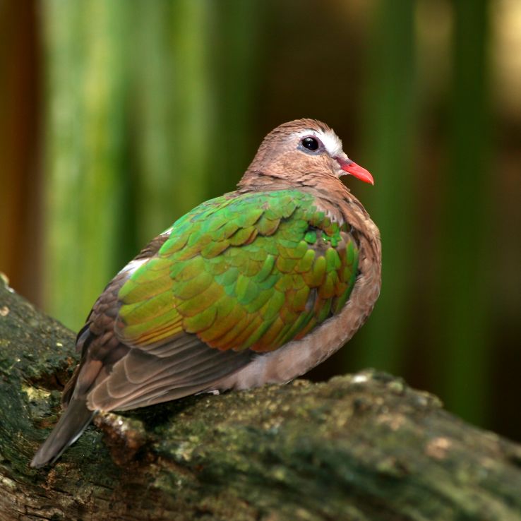 The National Aquarium Trip Packages